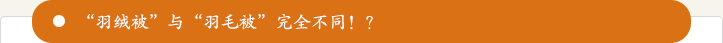 “羽絨被”與“羽毛被”完全不同？！