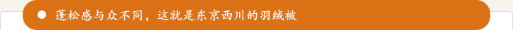 蓬松感與衆不同，這就是東京西川的羽絨被