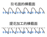 拉毛的橫截面 提花(huā)加工的橫截面