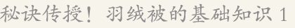 秘訣傳授！羽絨被的基礎知識1